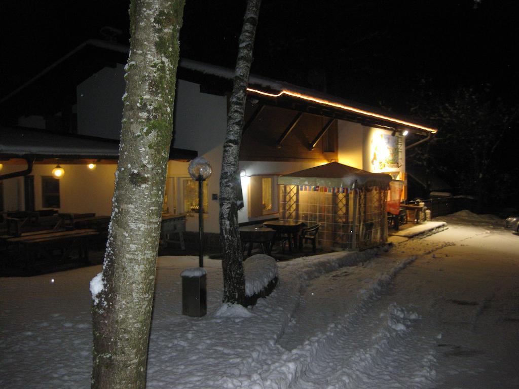 Albergo Pineta Castello-Molina di Fiemme Exteriér fotografie